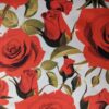 Rosas Vermelhas